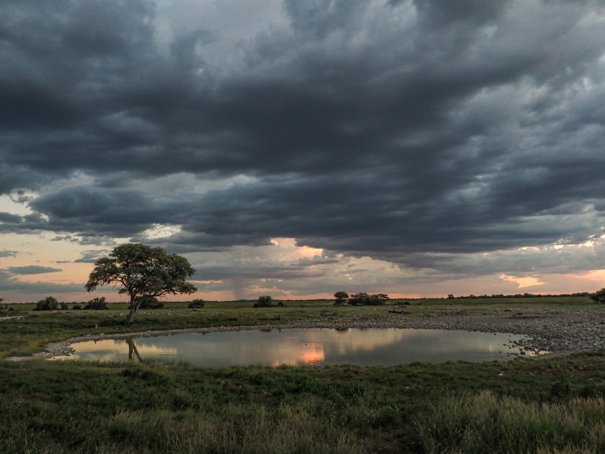 Nuages de pluie au-dessus de la savane